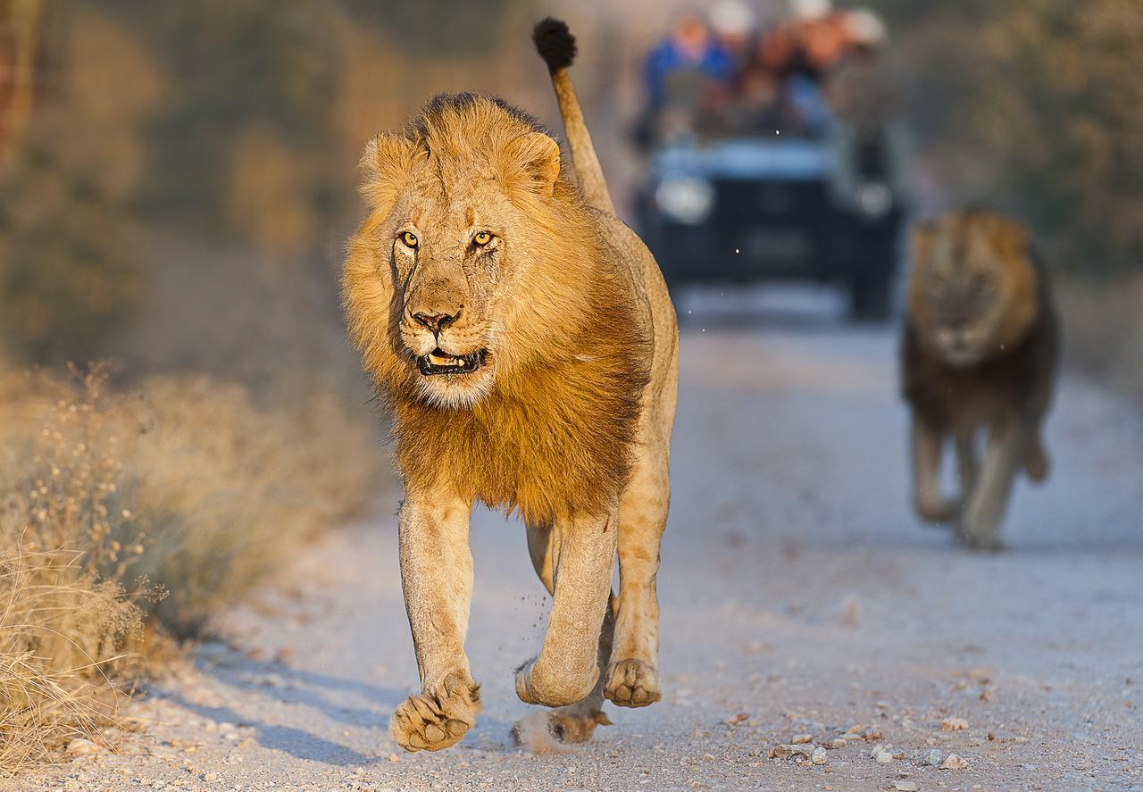 שמורת צייד בלולה Pondoro Game Lodge מראה חיצוני תמונה